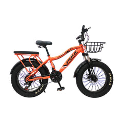 Prix 20400 ,21 Speeds ,20 Inches