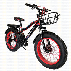 Phoenix 20400 ,21 Speeds ,20 Inches