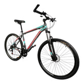 Phoenix 2902 , 21 speeds , 29 inches