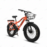 Prix 20400 ,21 Speeds ,20 Inches