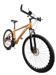 GOLD Mountain Bike , 21 speeds , 26 inches