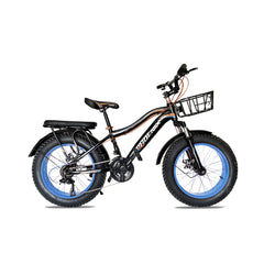 Phoenix 20400 ,21 Speeds ,20 Inches