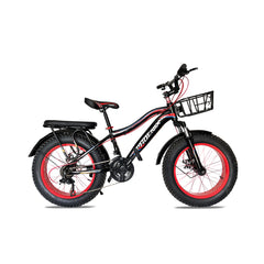Phoenix 20400 ,21 Speeds ,20 Inches