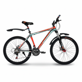 Phoenix 2611 , 21 speeds 26 inches