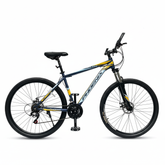 Phoenix 2902 , 21 speeds , 29 inches