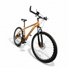 GOLD Mountain Bike , 21 speeds , 26 inches