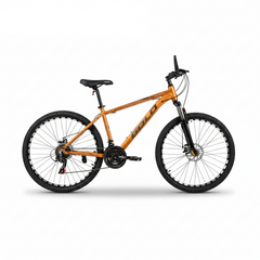 GOLD Mountain Bike , 21 speeds , 26 inches
